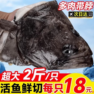 深海鲽鱼整条蝶鱼中段碟鱼新鲜冷冻海水鱼鸦片鱼比目鱼鲜活水产