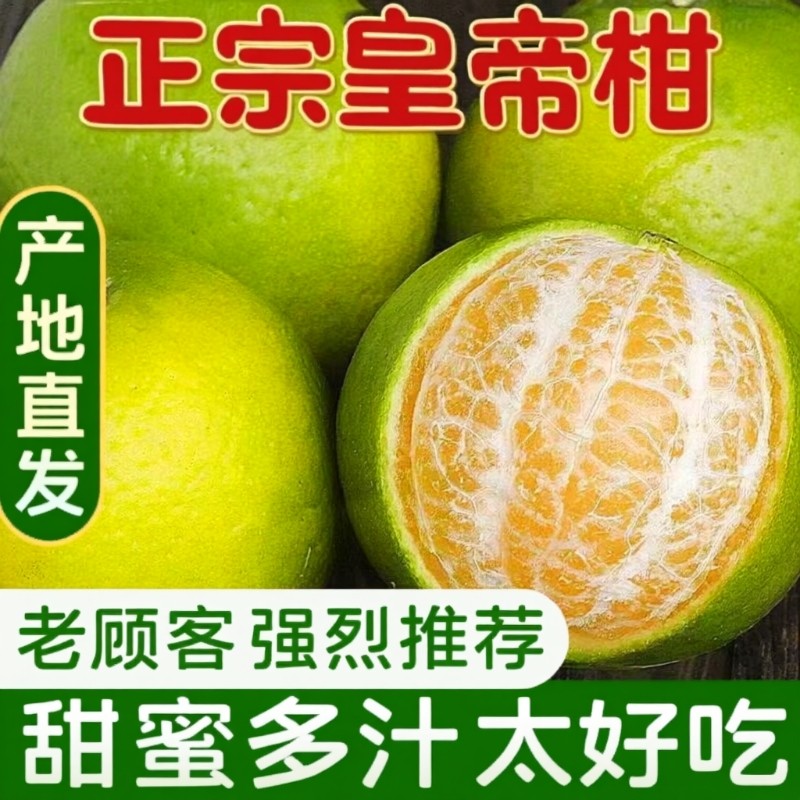 正宗广西皇帝柑新鲜9斤武鸣当季甜橘子孕妇水果整箱包邮5清香现摘,水产肉类/新鲜蔬果/熟食,桔子,淘宝优惠券,粉丝福利购,淘宝优惠卷