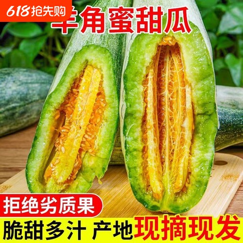 【脆甜多汁】山东头茬羊角蜜当季新鲜采摘蜜瓜香瓜产地直发3/5斤