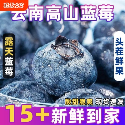 正宗云南花香蓝莓高山生态种植甜酸适口果香浓郁现摘现发坏果包赔
