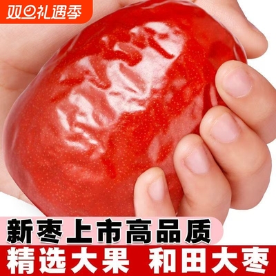 正宗新疆和田大枣红枣特产免洗特一级骏枣特级新货产地新鲜优选
