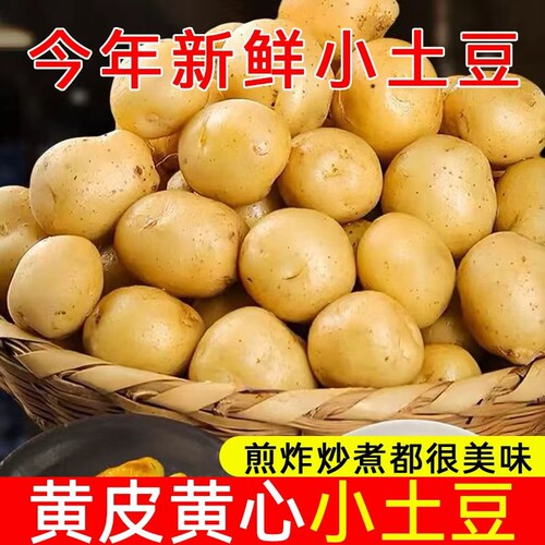 新鲜恩施小土豆农家黄心