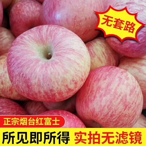 正宗烟台红富士苹果新鲜水果脆甜特产富士苹果应当季鲜果产地直发