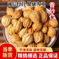 云南特产香砂仁金砂仁炖肉汤烧烤调料香料卤料包香沙花椒地道散装