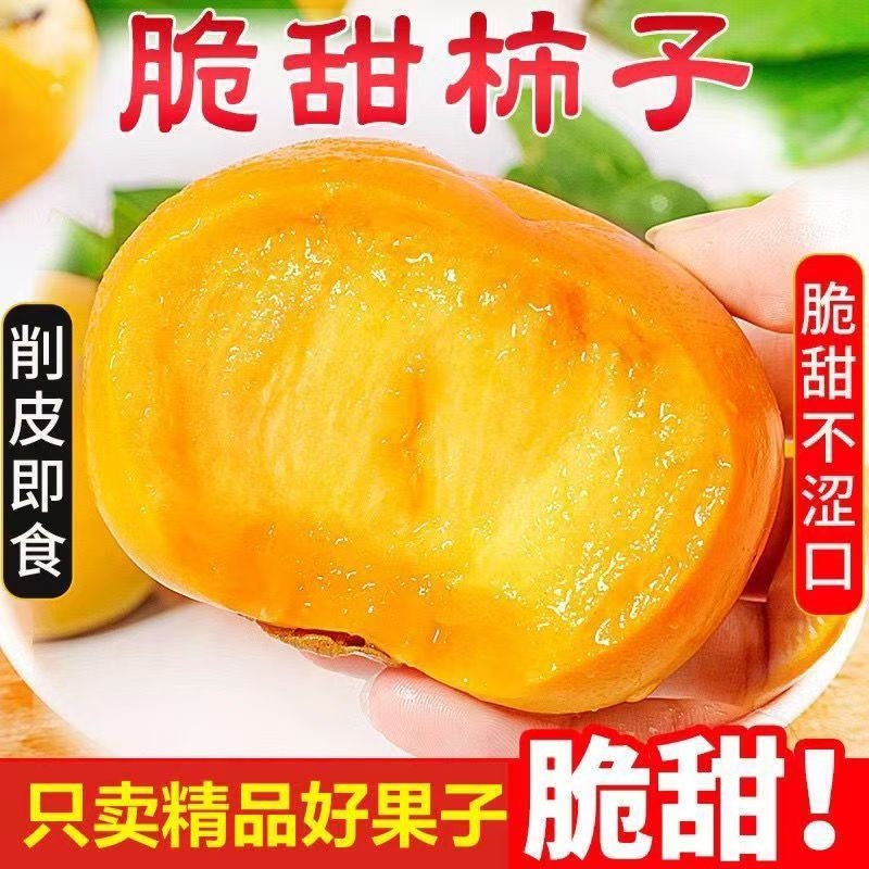 2025头茬脆柿子脆甜巧克力柿子整箱新鲜水果甜柿无核冰糖心柿应季