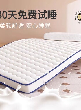 四季款床垫家用软垫褥铺地