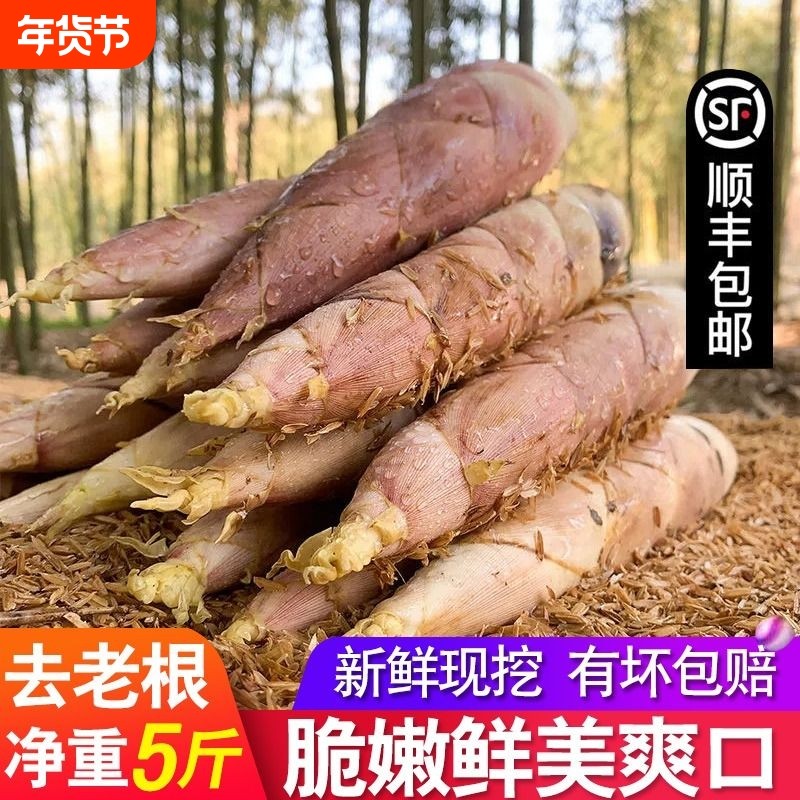 浙江雷竹笋春笋新鲜现挖雷笋高山野生农产品竹笋嫩芽笋尖时令蔬菜,水产肉类/新鲜蔬果/熟食,竹笋,淘宝优惠券,粉丝福利购,淘宝优惠卷