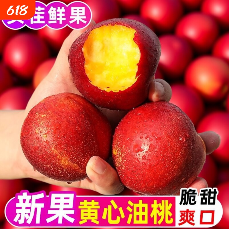 2026年头茬油桃现摘红油桃子新鲜水果脆甜应季黄肉油桃现货现发