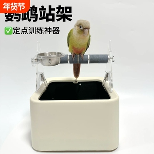 鹦鹉专用垃圾桶站架拉粑鹦鹉站架垃圾桶鹦鹉定点训练定点排便站架