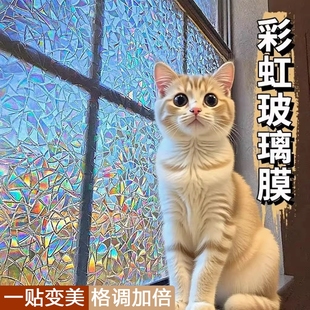 玻璃贴纸彩虹膜静电防窥贴膜窗贴卫生间窗户透光不透明玻璃膜磨砂