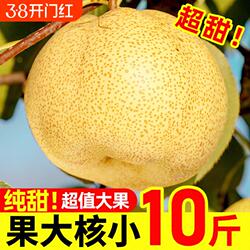 安徽特产雪梨现摘砀山酥梨新鲜梨子9斤水果梨正宗整箱汤山包邮