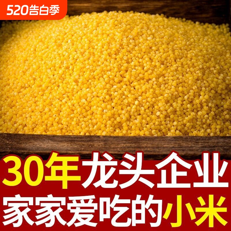 2025年新鲜优质黄小米新米油小米米脂油粗杂粮月子米大金苗袋装