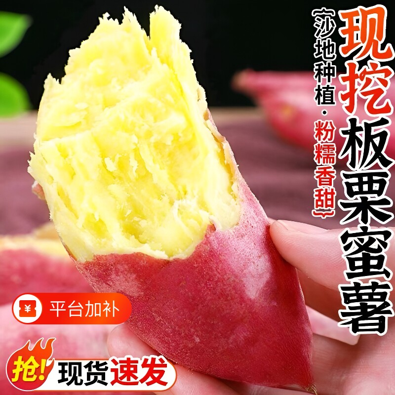 陕西沙地板栗红薯新鲜蜜薯番薯板栗红薯薯地瓜现挖现发