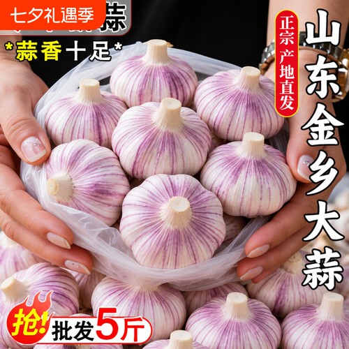 【新蒜上市】金乡大蒜头特大果