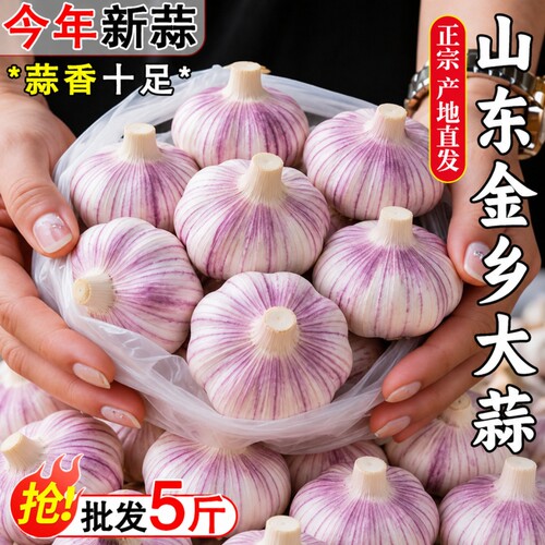 山东特大干蒜9斤装|超1000次加购