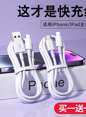 适用苹果数据线iPhone1413/12/快充11promax手机充电器6s快速7加长8plus闪PD20WiPad平板2米XR冲电线XS接口