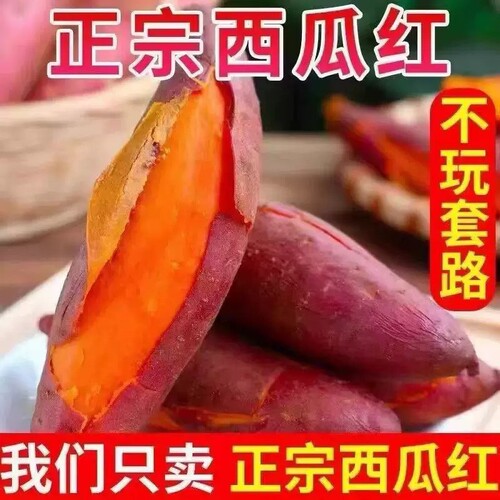 正宗西瓜红蜜薯糖心红薯地瓜新鲜沙地番薯农家甜糯山芋地瓜批发