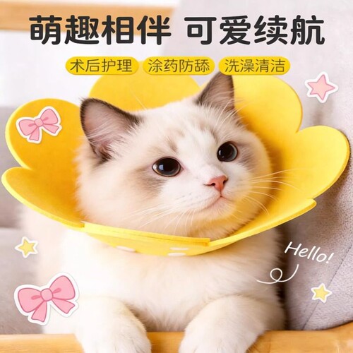 项圈套太阳花伊丽莎白圈猫狗通用
