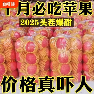 正宗陕西红富士8.5斤苹果水果脆甜冰糖心新鲜水果整箱 爆甜