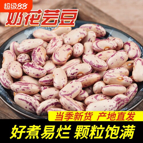 营养雀蛋豆蛋白豆豆花红腰豆花芸