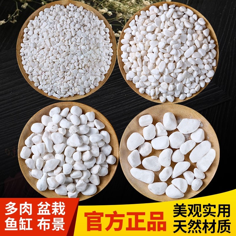 小白石子庭院造景鱼缸鹅卵石原石天然颗粒养花多肉盆栽装饰铺面石,鲜花速递/花卉仿真/绿植园艺,其它园艺用品,淘宝优惠券,粉丝福利购,淘宝优惠卷