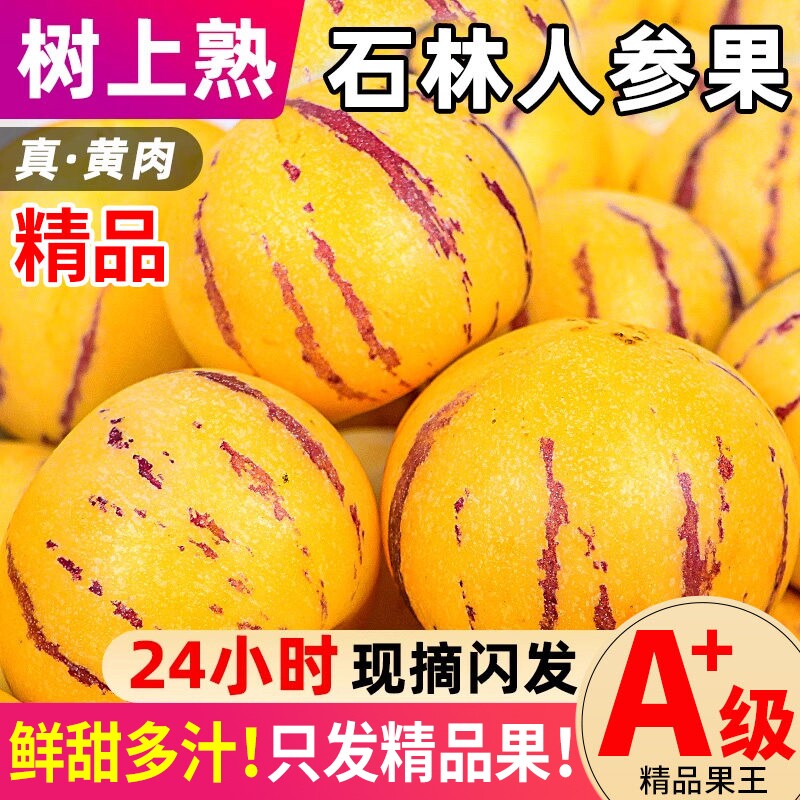 云南石林人参果新鲜水果树熟人生果当季水果产地现发整箱9斤包邮