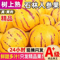 云南石林人参果新鲜水果树熟人生果当季水果产地现发整箱9斤包邮