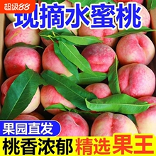 山西运城正宗水蜜桃净重4.5斤