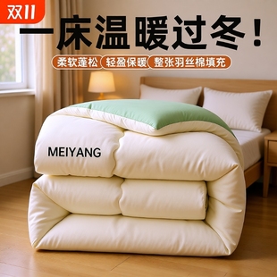 被子冬被2025新春秋学生单人宿舍针织纯被褥四季 通用加厚被芯丝棉