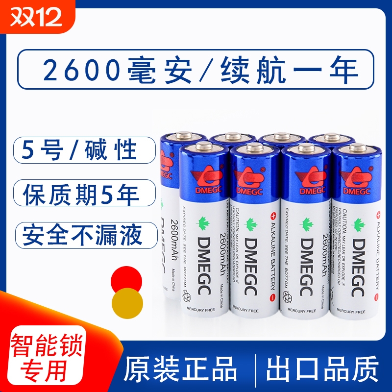 DMEGC原装电池5号AA-当天发货
