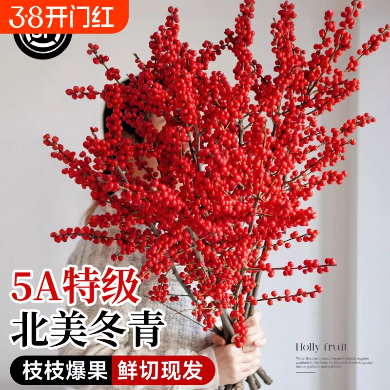 北美冬青红果鲜枝银柳年宵花卉绿植室内水培植物鲜花切枝盆栽真花