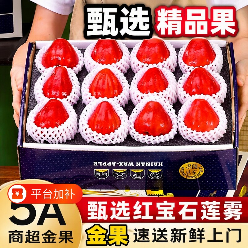 精品福建海南红宝石莲雾水果应季时令新鲜现摘整箱大果孕妇鲜果甜