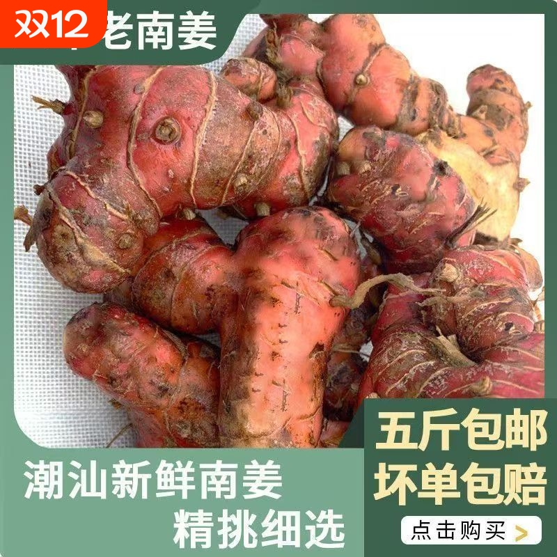 正宗潮汕南姜新鲜山姜良姜红皮白现挖生姜南姜新鲜南姜三年老南姜