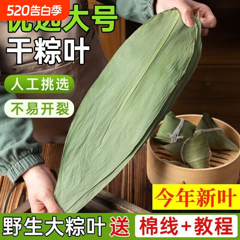 特大号野生干粽叶新鲜包粽子箬叶端午必备粽叶干大号家用粽子叶干