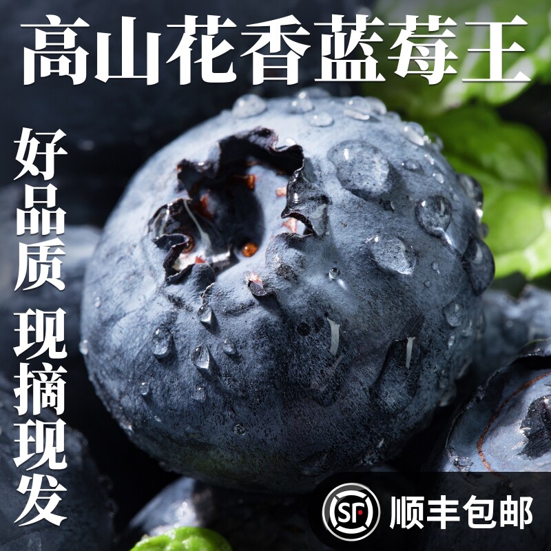 云南花香蓝莓20mm大果新鲜当季精品水果顺丰包邮孕妇现摘脆甜一颗
