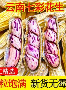 云南七彩花生带壳新鲜原味炒熟新货五彩水果彩色大粒果仁健康