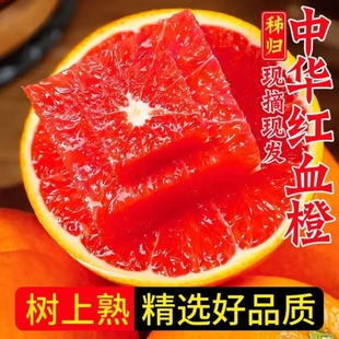 包邮 秭归橙子当季 水果中华红手拨甜橙新鲜孕妇薄皮现摘血橙9斤