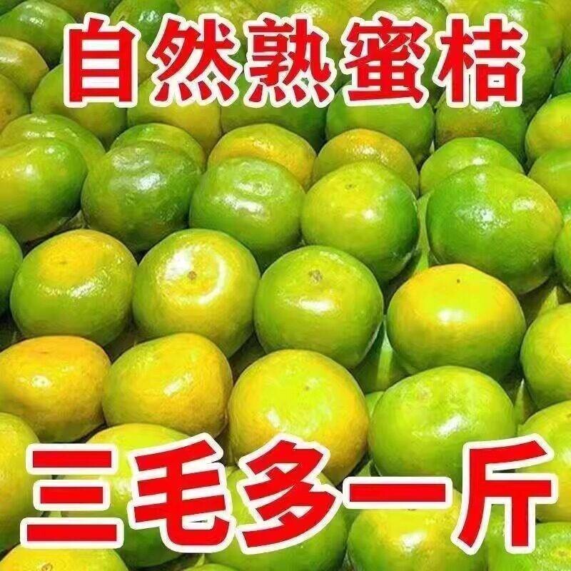 云南青皮无籽蜜橘桔子新鲜现摘当季孕妇水果酸甜桔子整箱10斤包邮