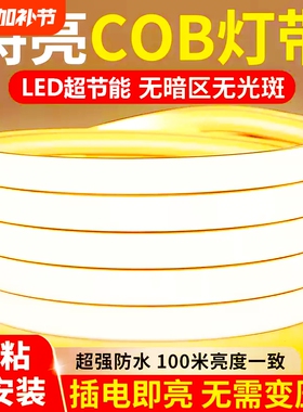 超薄led灯带220v家用客厅吊顶户外防水自粘线形灯槽COB硅胶软灯条