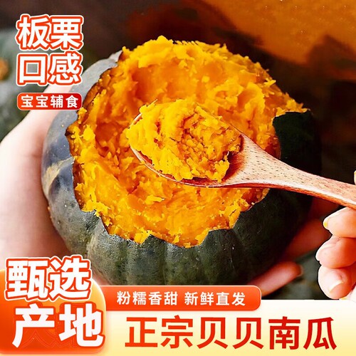 正宗贝贝南瓜板栗味新鲜粉糯香甜宝宝辅食产地直发3斤5斤整箱批发