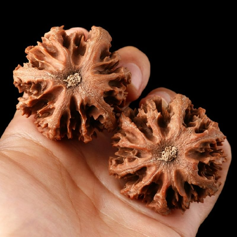 圆球形菊花特大灯笼麻核桃型正配对好陕西八棱文玩粗筋矮桩手把件