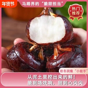 现挖正宗农家安徽现挖新鲜水果马蹄荸荠荔浦水果5蔬菜饽荠包邮