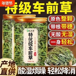 车前草野生中药材正品官方旗舰店新鲜干货降泡水喝酸车前草茶原味
