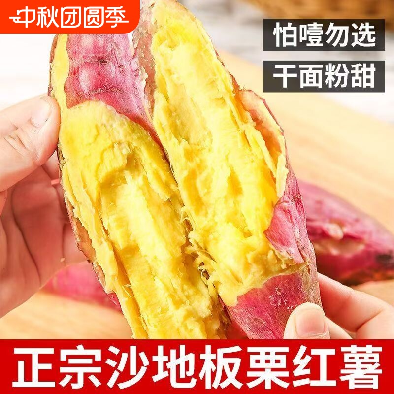 正宗陕西板栗红薯新鲜黄心地瓜沙地番薯农家蜜薯现挖香甜山芋批发图片