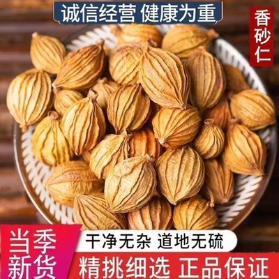 香砂仁香料500g精选四川砂仁金大全卤料火锅调料商用批发花椒无硫
