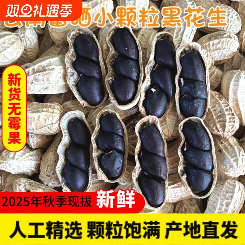 黑花生带壳原味生花生米富硒黑花生云南特产黑皮花生米小粒黑花生