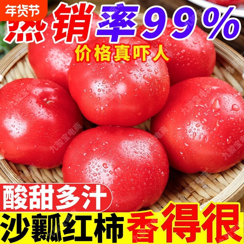 攀枝花高山农家现摘自然熟沙瓤水果西红柿新鲜蔬菜普罗旺斯小番茄,水产肉类/新鲜蔬果/熟食,番茄,淘宝优惠券,粉丝福利购,淘宝优惠卷