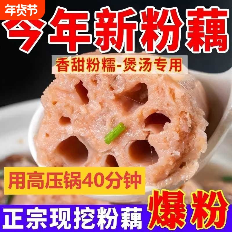 洪湖莲藕新鲜粉糯现挖湖北特产九孔红粉藕带泥发火锅食材配菜煲汤,水产肉类/新鲜蔬果/熟食,莲藕,淘宝优惠券,粉丝福利购,淘宝优惠卷