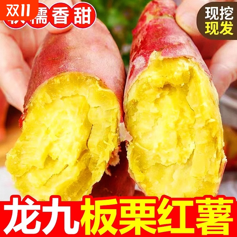 河南龙九红薯新鲜现挖正宗黄心自种蜜薯山芋板栗番薯农家沙地香甜