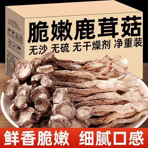 云南鹿茸菇无硫新鲜食材云南特产